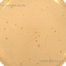 Milk Agar